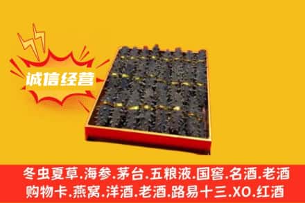 阳江市江城回收海参